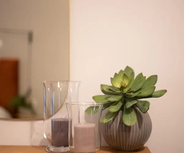 Casa Almika Sparano 招待所 巴里